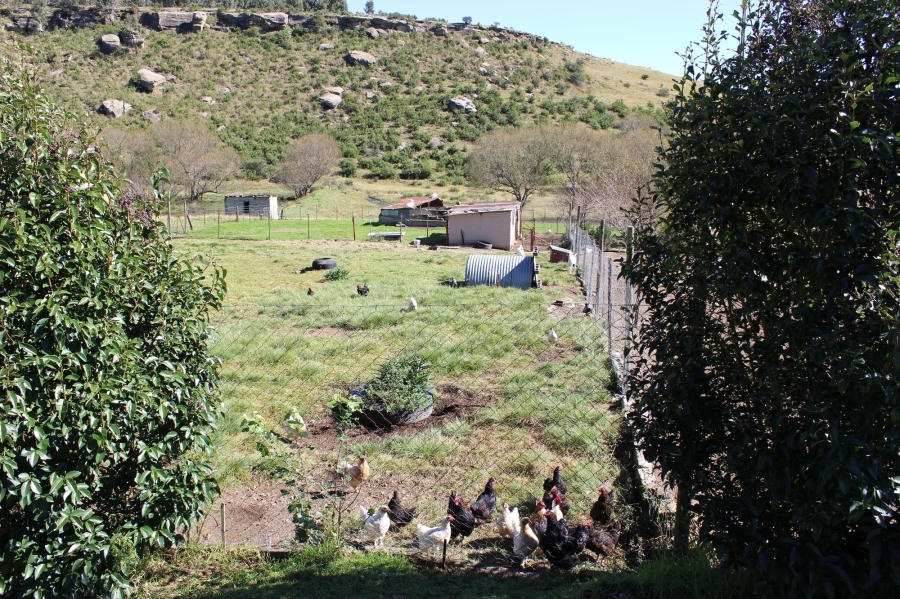 15 Bedroom Property for Sale in Harrismith Rural Free State